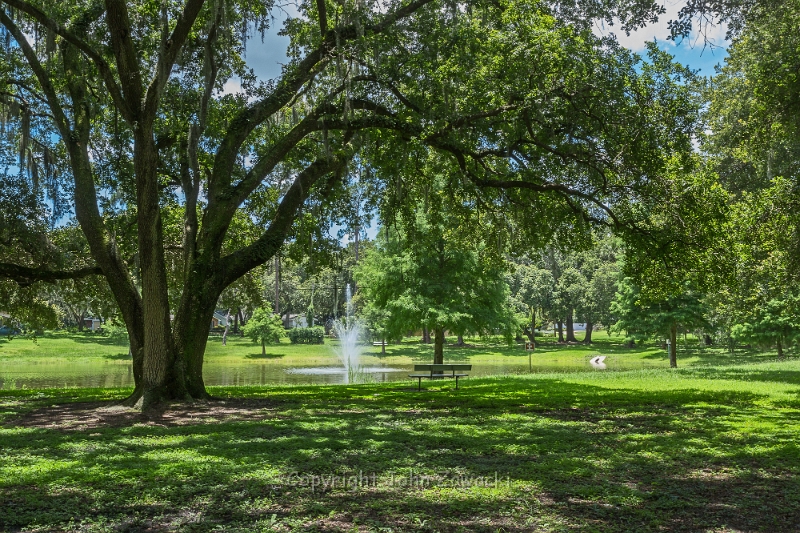 James Dunn Park-0927.jpg